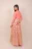 Tissue Zari Work Anarkali Suit