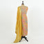 Unstitched Organza Suit