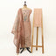 Unstitched Organza Suit