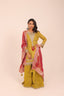 Embroidered Tissue Sharara Set