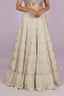 Sequin & Thread Embroidered Lehenga Set