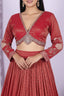 Red Embroidered Lehenga & Matching Dupatta